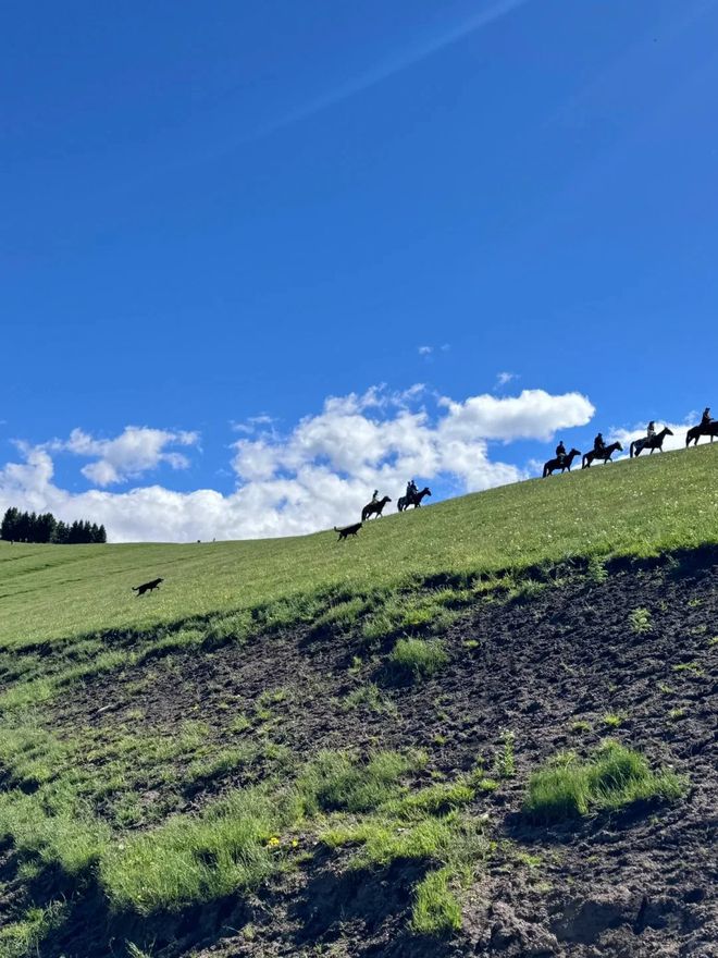 新疆七日游带什么装备？新疆户外旅行必备清单轻松畅游无忧！(图2)
