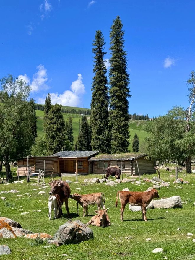 新疆七日游带什么装备？新疆户外旅行必备清单轻松畅游无忧！(图3)