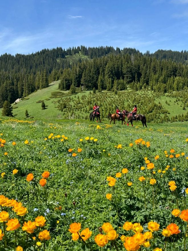 新疆七日游带什么装备？新疆户外旅行必备清单轻松畅游无忧！(图4)