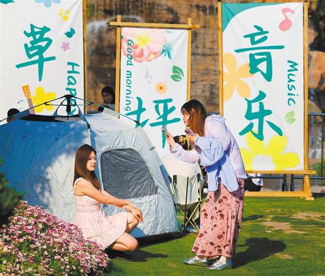 夏日露营去(图4)