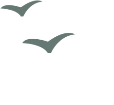 说走就走！在南昌“轻户外”火出圈(图7)