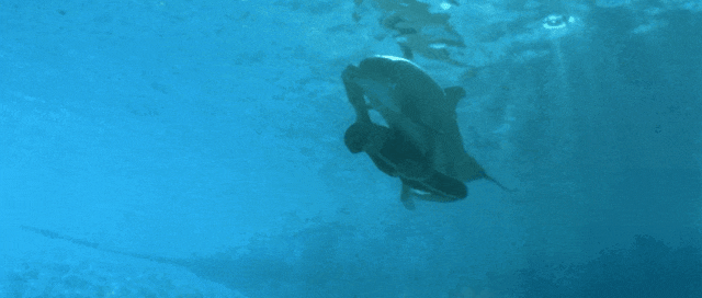 剧组遭辐射、摄影师遇难、导演失聪：电影大师户外玩命史(图19)