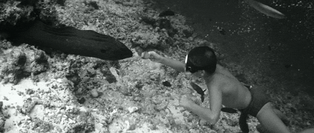 剧组遭辐射、摄影师遇难、导演失聪：电影大师户外玩命史(图18)