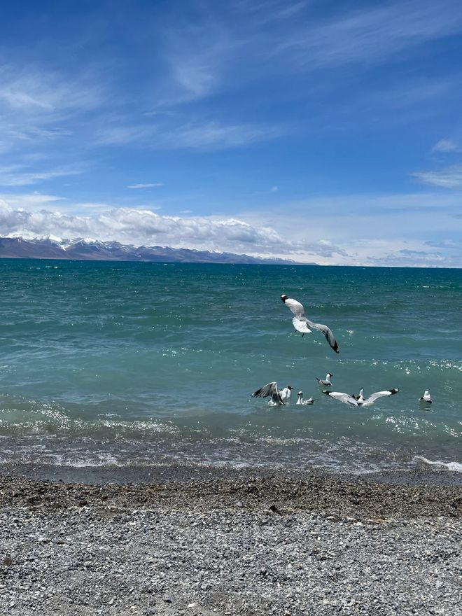 西藏6日游装备清单 西藏实用六天五晚户外旅行必备(图3)