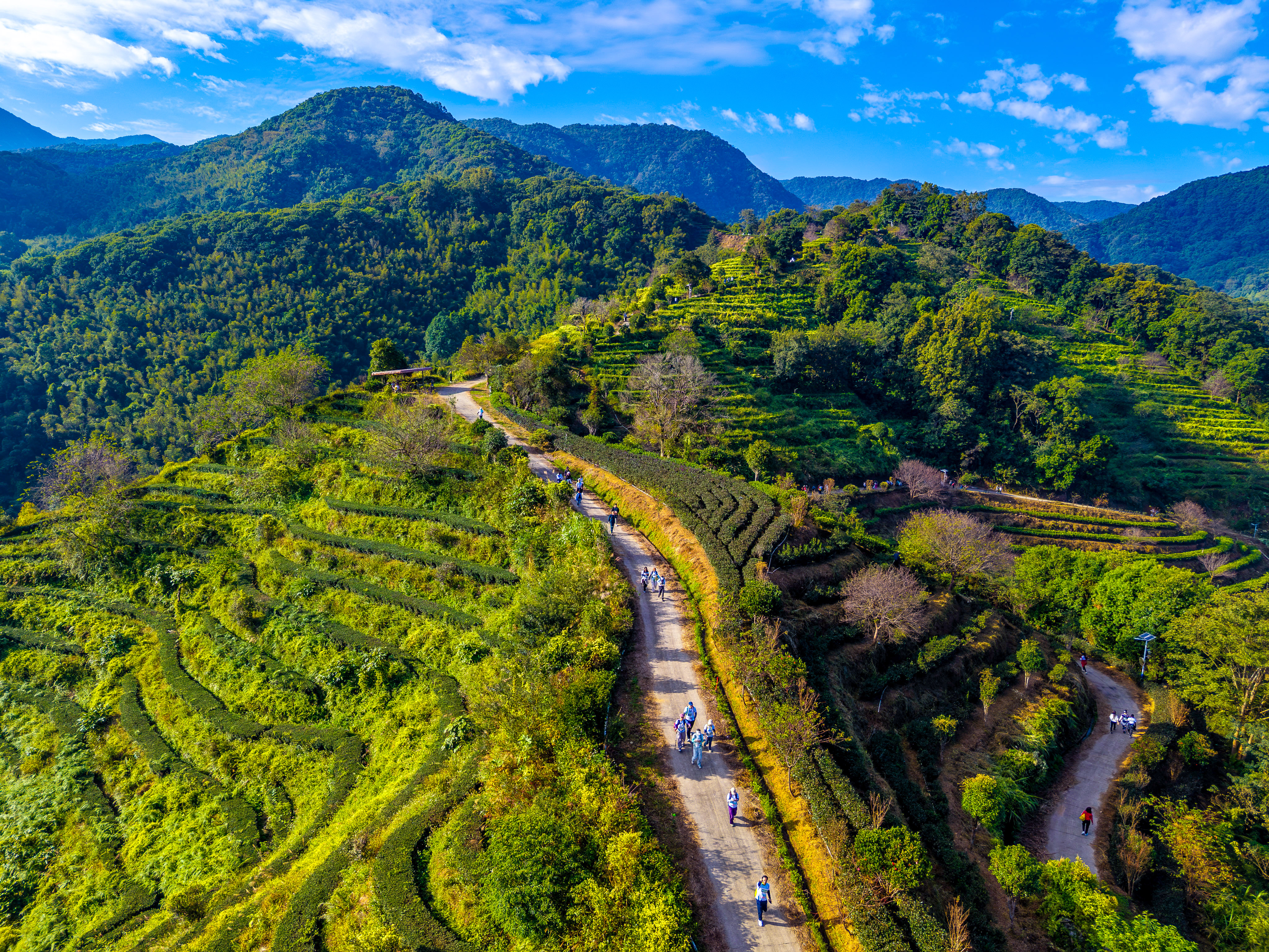 惠州日报社探索“党媒+文旅+运动”融合模式打造惠乐途品牌(图6)